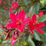 25 Money-Saving Travel Tips Every Traveler Should Know: An Insight