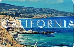 Best pet-friendly hotels in the California wine country for a road trip with your dog(No hidden fees)