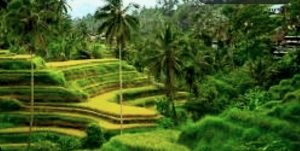 Top 10 Eco-friendly & safe destinations for solo female travellers in Southeast asia