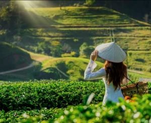 The Beginner’s Guide to Agritourism: Farm Stays That Don’t Feel Like Chores