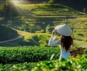 The Beginner’s Guide to Agritourism: Farm Stays That Don’t Feel Like Chores