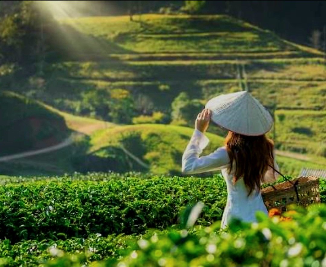 The Beginner’s Guide to Agritourism: Farm Stays That Don’t Feel Like Chores