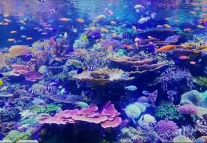 15 Natural Wonders You Should Visit Before They Change Forever : The Clock is Ticking