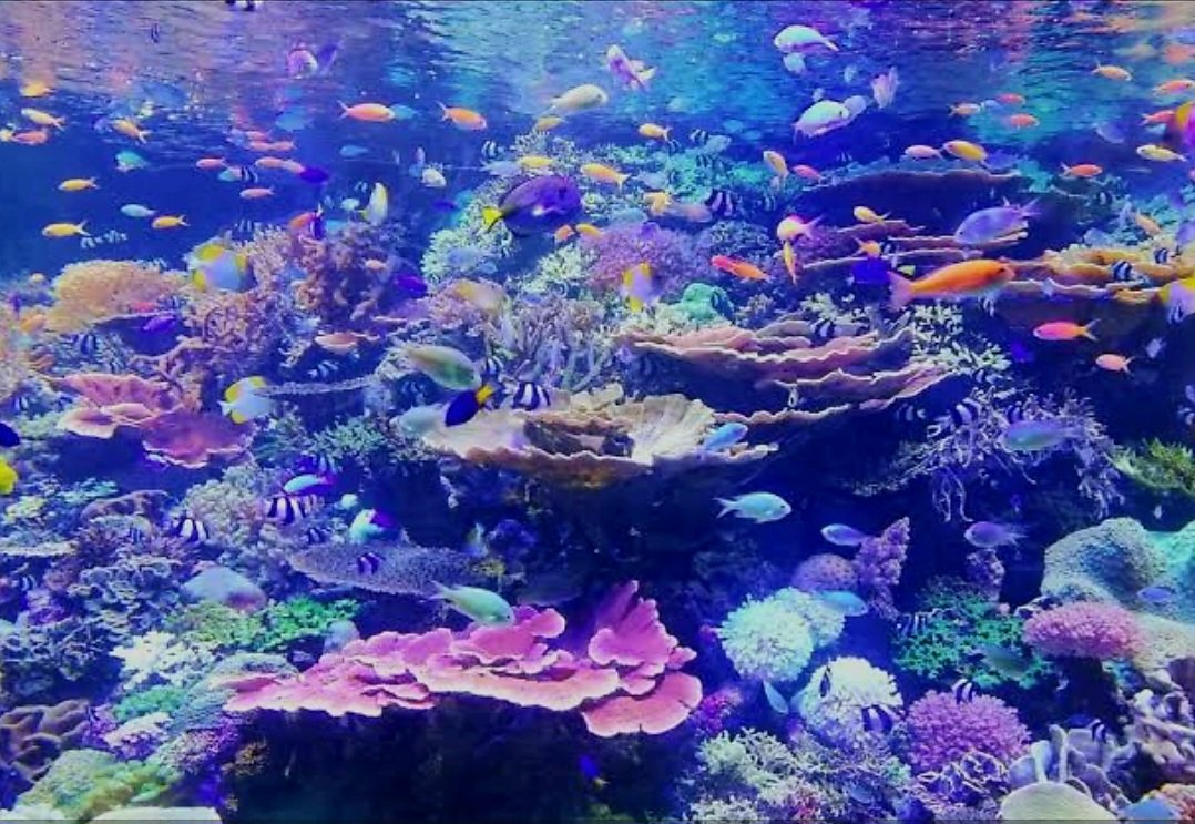 15 Natural Wonders You Should Visit Before They Change Forever : The Clock is Ticking