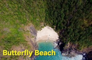 7 Hidden Budget-Friendly Beaches in India That Feel Like Private Paradise (And Cost Less Than ₹1500= Per Day!) 💰