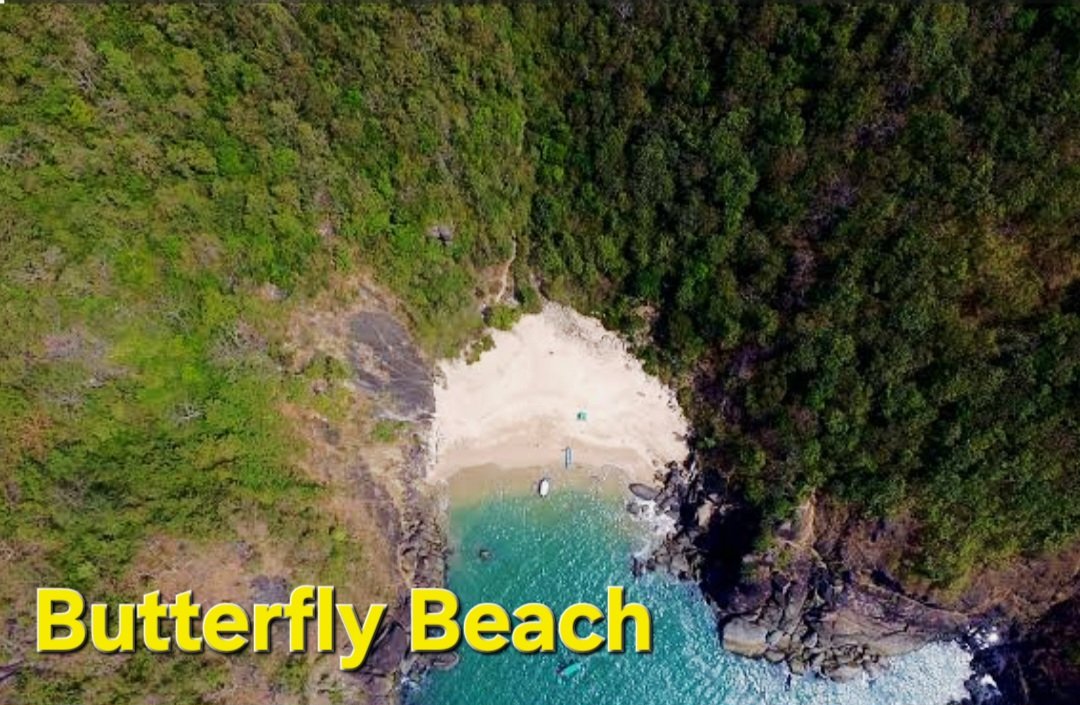 7 Hidden Budget-Friendly Beaches in India That Feel Like Private Paradise (And Cost Less Than ₹1500= Per Day!) 💰