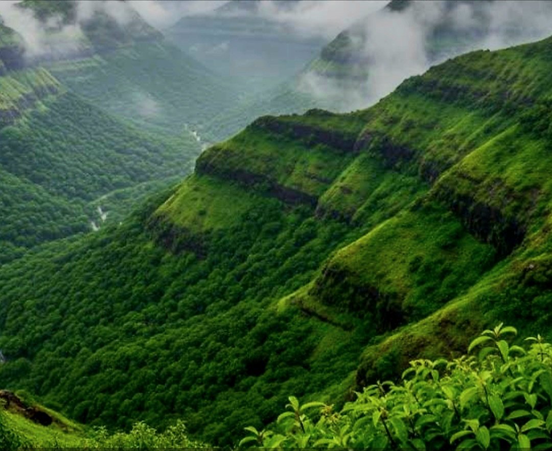 Quick Monsoon Getaways in Lonavala and Igatpuri: A Weekend Warrior Itinerary for a 48-Hour Escape from Mumbai