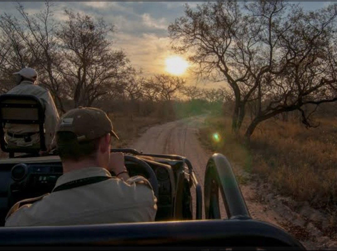 A 7-day All-inclusive Luxury Safari Package in Kruger National Park, South Africa for Affluent Couples Celebrating Honeymoons or Anniversaries: Once-in -a-lifetime experience