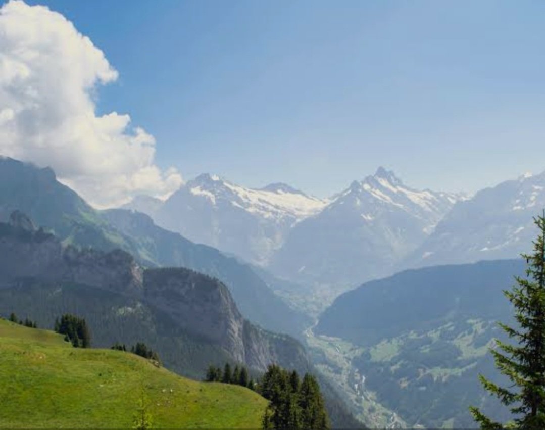 The Ultimate ‘Stress-Free Gramping Guide’ for  A Family Trip to The Swiss Alps or The National Parks in India (like Kaziranga): Best Family Milestone Trips 2026