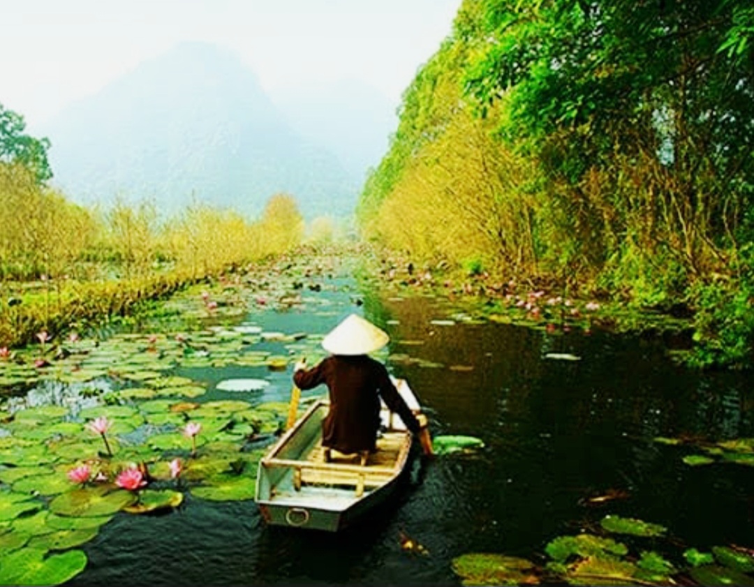 How I Used AI to Plan a 7-Day Vietnam Trip for Under 0 : A Guide