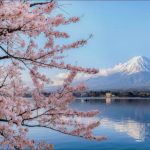 Japan Cherry Blossom Travel Guide : Best Sakura Viewing Spots, Festival Time, Budget Tips & 10-Day Itinerary
