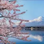 Japan Cherry Blossom Travel Guide : Best Sakura Viewing Spots, Festival Time, Budget Tips & 10-Day Itinerary