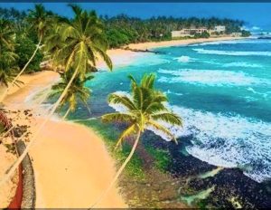 Read more about the article Sri Lanka on a Budget: Cheapest Way to Explore the Island